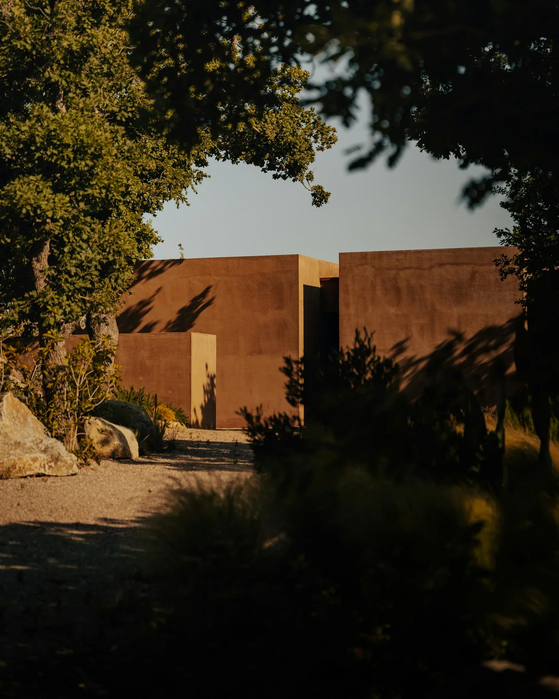 Casa contemporánea rodeada de vegetación